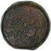 Egypt, Ptolemy VI and Ptolemy VIII, Æ Diobol, ca. 170-163 BC, Alexandria
