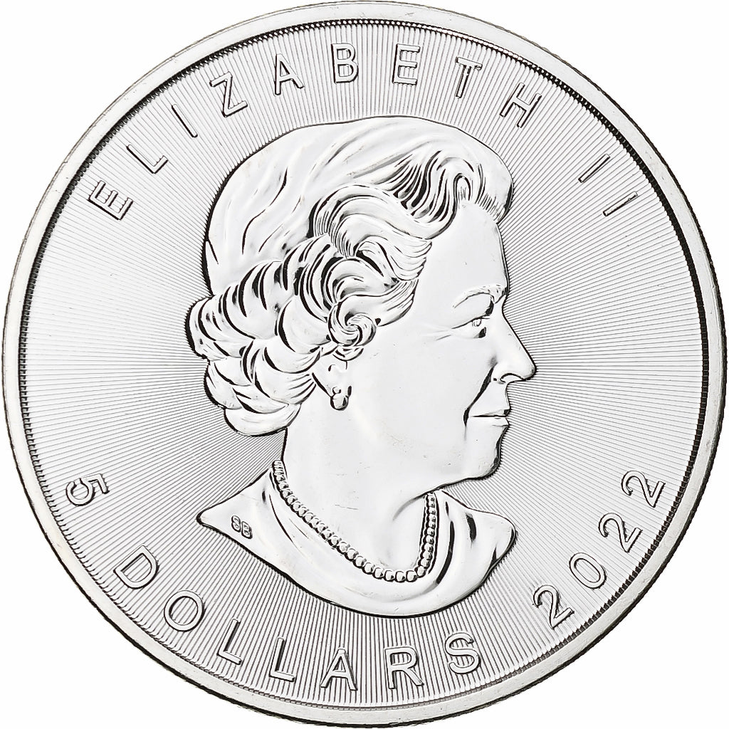 Canada, Elizabeth II, 5 dollars, 1 oz, Maple Leaf, 2022, Ottawa, Silver, MS(64)
