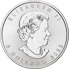 Canada, Elizabeth II, 5 dollars, 1 oz, Maple Leaf, 2022, Ottawa, Silver, MS(64)