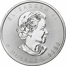 Canada, Elizabeth II, 5 dollars, 1 oz, Maple Leaf, 2020, Ottawa, Silver