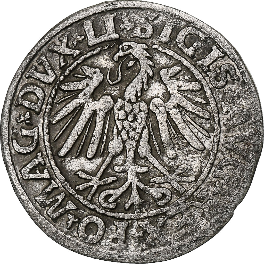 Poland, Kingdom of Poland-Lithuania, Sigismund II, 1/2 Grosz, 1547, Vilnius