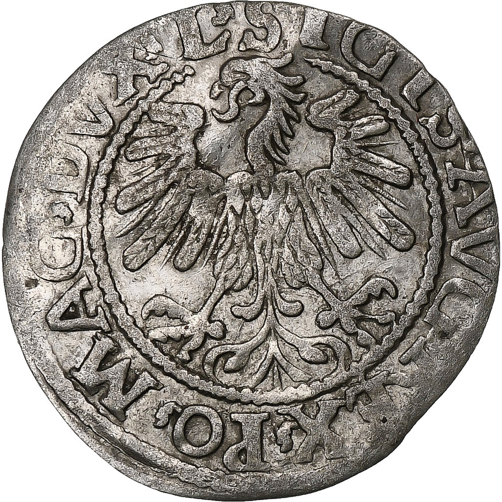 Polen, Kingdom of Poland-Lithuania, Sigismund II, 1/2 Grosz, 1559, Vilnius