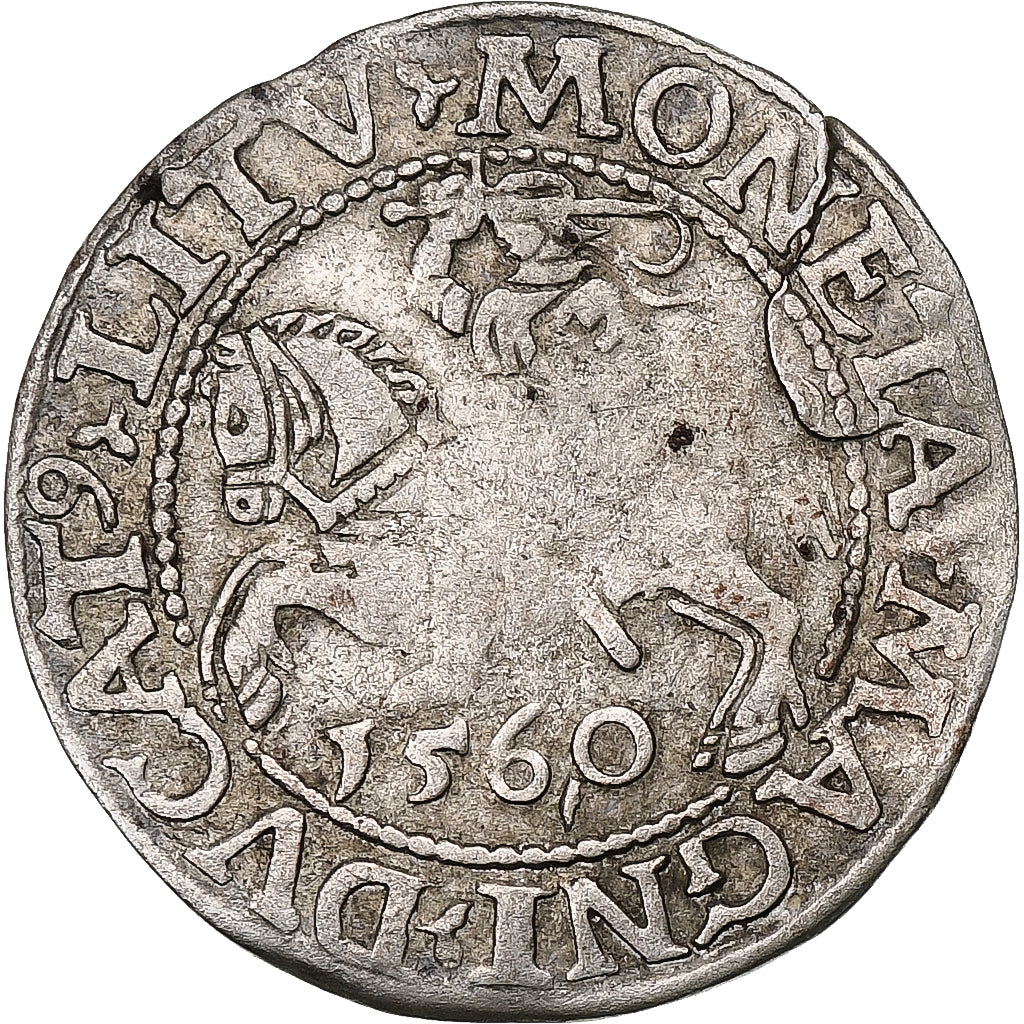 Poland, Kingdom of Poland-Lithuania, Sigismund II, 1/2 Grosz, 1560, Vilnius