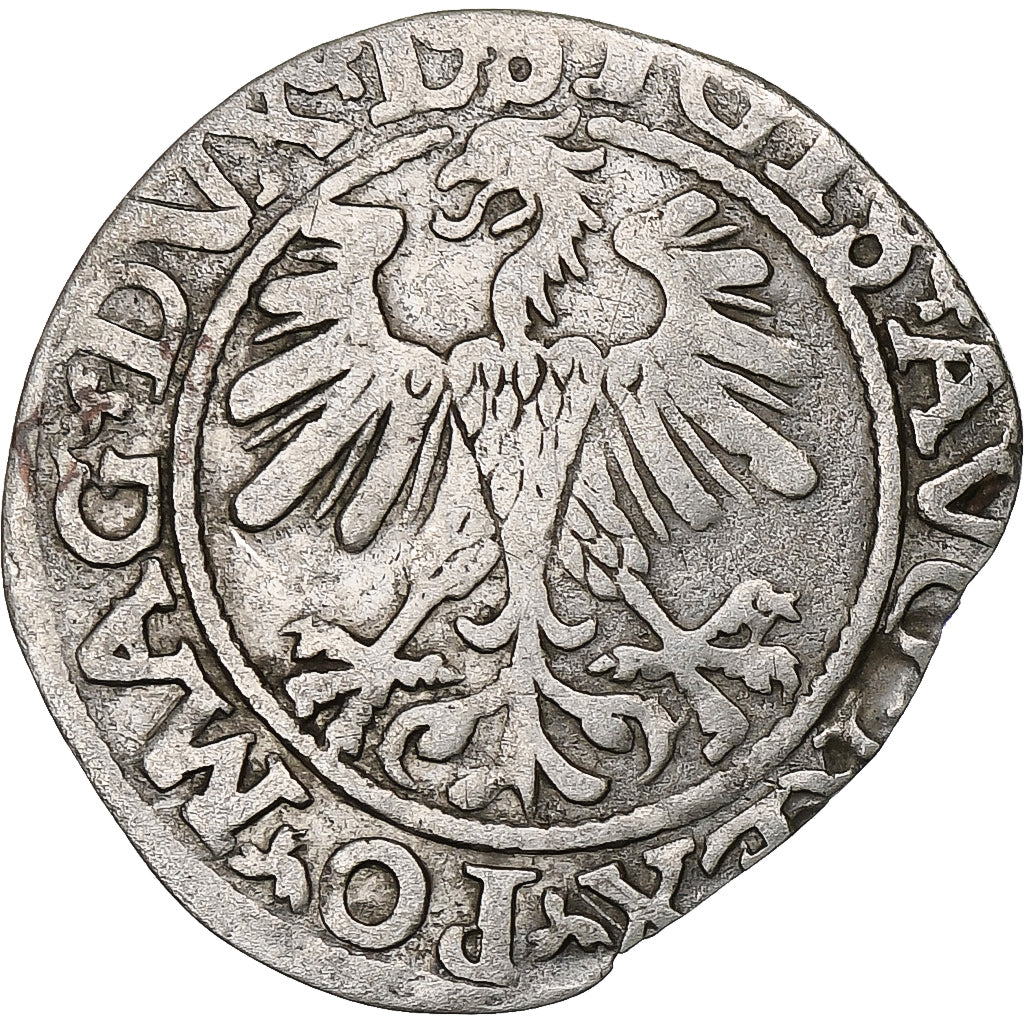 Polen, Kingdom of Poland-Lithuania, Sigismund II, 1/2 Grosz, 1560, Vilnius