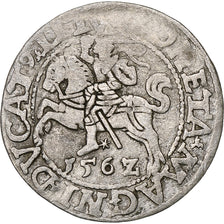 Pologne, Kingdom of Poland-Lithuania, Sigismund II, 1/2 Grosz, 1562, Vilnius