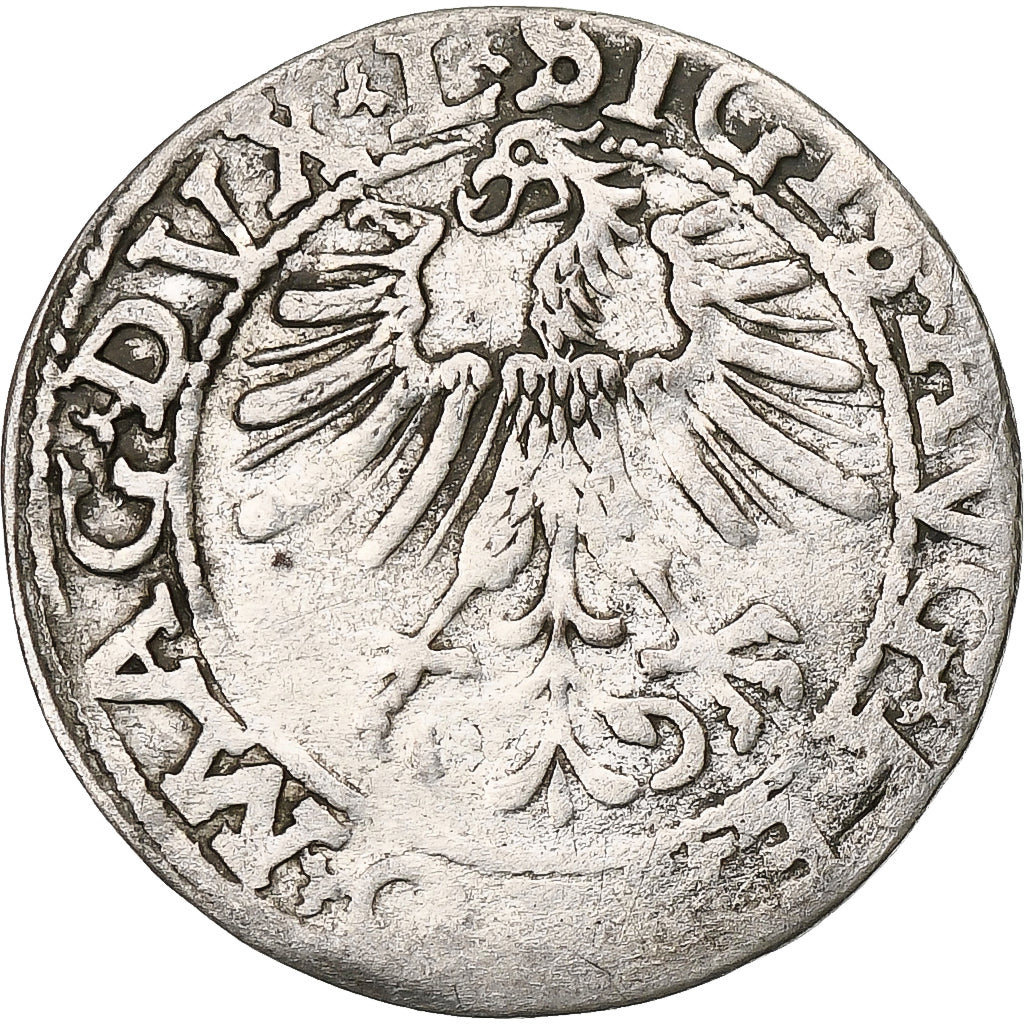 Polen, Kingdom of Poland-Lithuania, Sigismund II, 1/2 Grosz, 1562, Vilnius