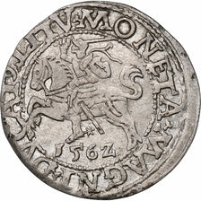 Polen, Kingdom of Poland-Lithuania, Sigismund II, 1/2 Grosz, 1562, Vilnius