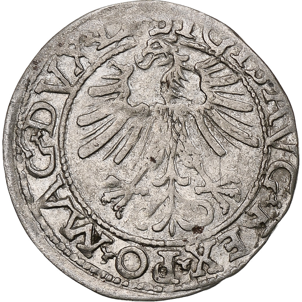 Polen, Kingdom of Poland-Lithuania, Sigismund II, 1/2 Grosz, 1562, Vilnius