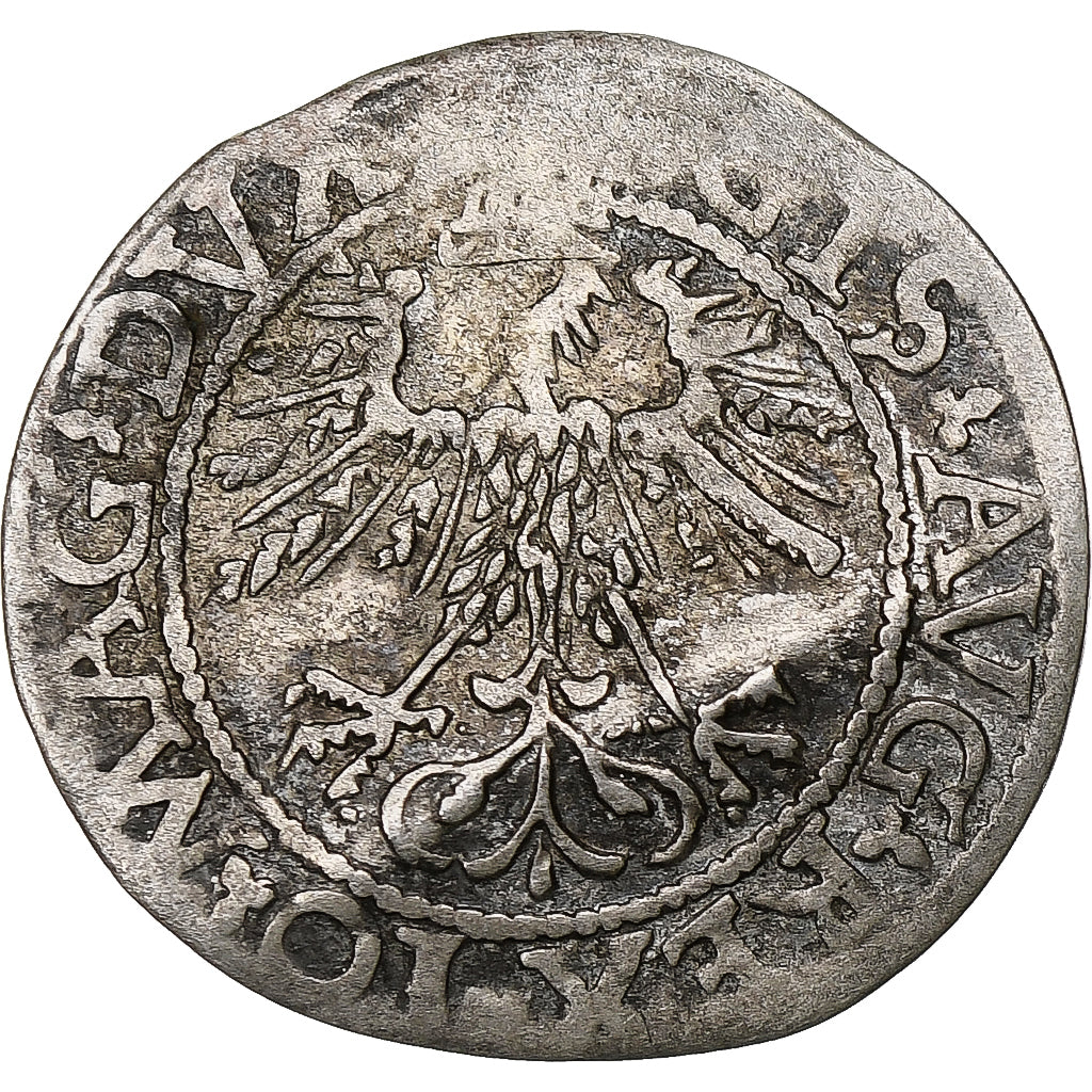 Polen, Kingdom of Poland-Lithuania, Sigismund II, 1/2 Grosz, 1562, Vilnius
