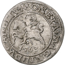 Polónia, Kingdom of Poland-Lithuania, Sigismund II, 1/2 Grosz, 1563, Vilnius