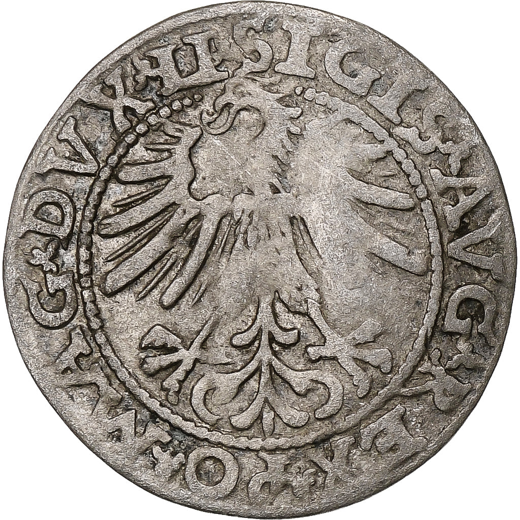 Polónia, Kingdom of Poland-Lithuania, Sigismund II, 1/2 Grosz, 1563, Vilnius