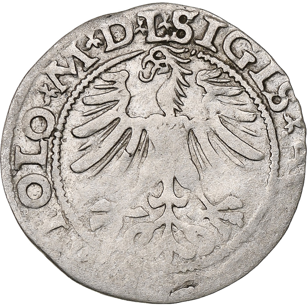 Polen, Kingdom of Poland-Lithuania, Sigismund II, 1/2 Grosz, 1562, Vilnius