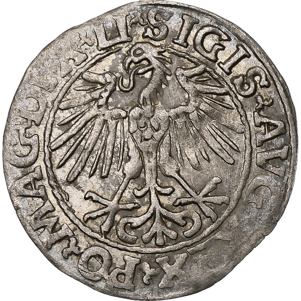Polen, Kingdom of Poland-Lithuania, Sigismund II, 1/2 Grosz, 1548, Vilnius