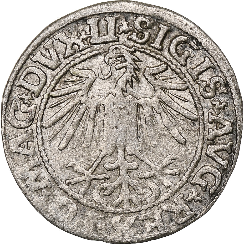 Polonia, Kingdom of Poland-Lithuania, Sigismund II, 1/2 Grosz, 1549, Vilnius