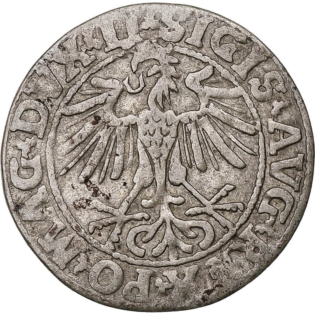 Polska, Kingdom of Poland-Lithuania, Sigismund II, 1/2 Grosz, 1550, Vilnius