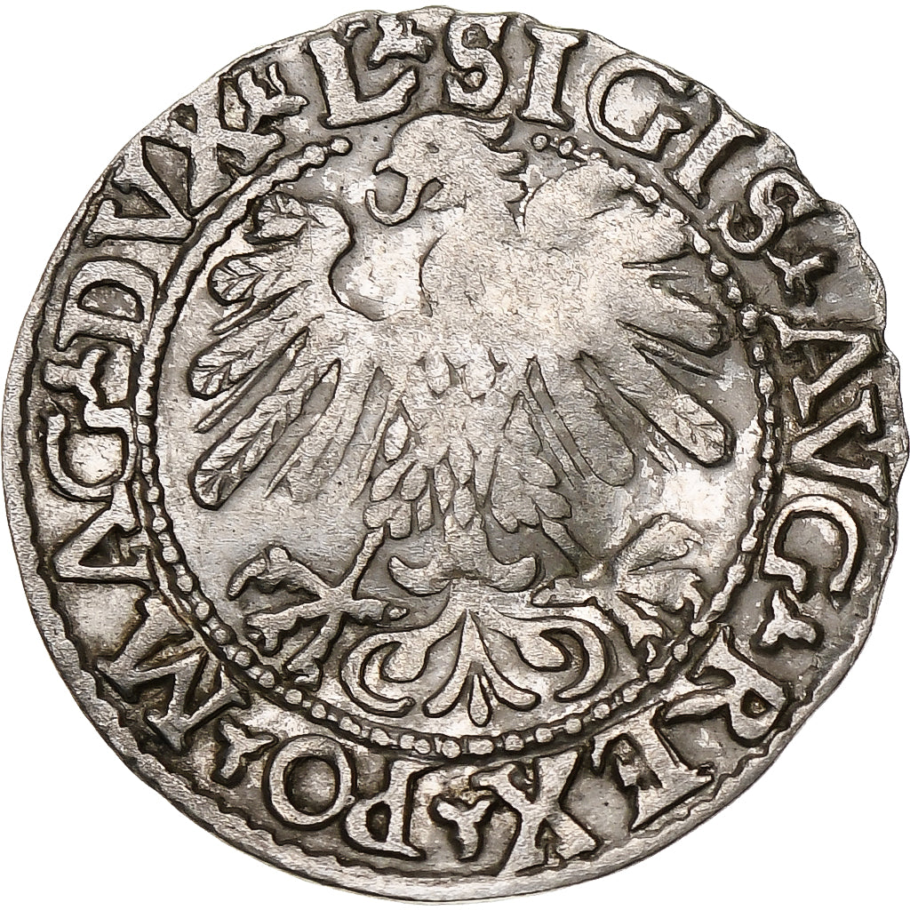 Polonia, Kingdom of Poland-Lithuania, Sigismund II, 1/2 Grosz, 1559, Vilnius