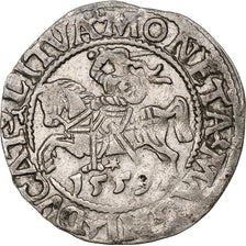 Pologne, Kingdom of Poland-Lithuania, Sigismund II, 1/2 Grosz, 1559, Vilnius