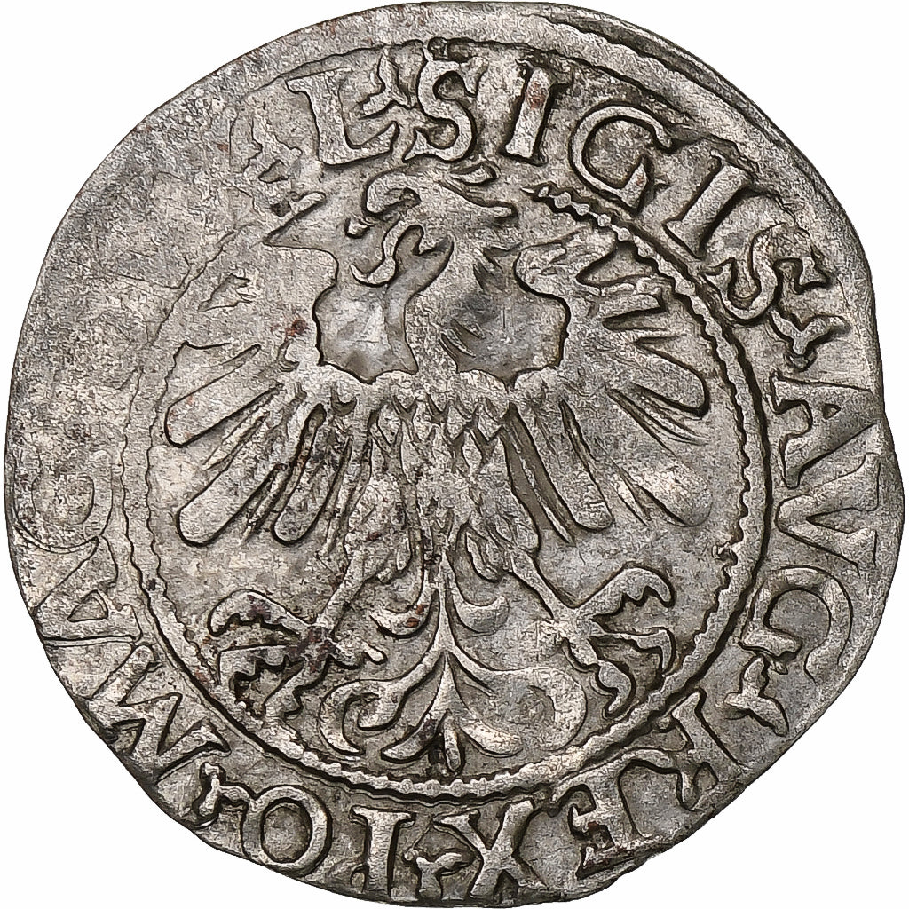Pologne, Kingdom of Poland-Lithuania, Sigismund II, 1/2 Grosz, 1559, Vilnius