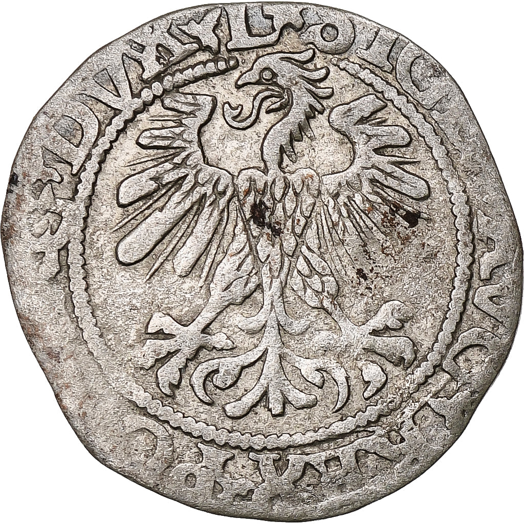 Polen, Kingdom of Poland-Lithuania, Sigismund II, 1/2 Grosz, 1560, Vilnius