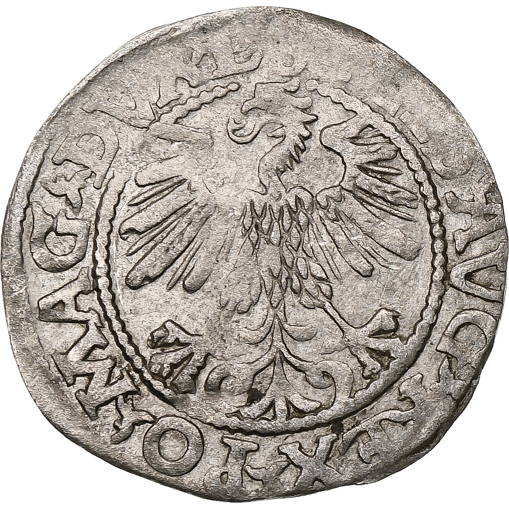 Polonia, Kingdom of Poland-Lithuania, Sigismund II, 1/2 Grosz, 1560, Vilnius