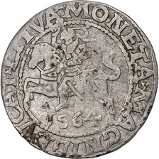 Polska, Kingdom of Poland-Lithuania, Sigismund II, 1/2 Grosz, 1564, Vilnius