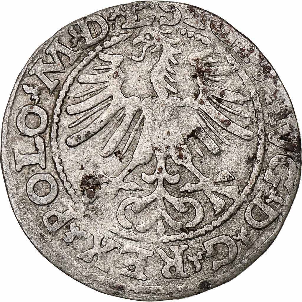 Polska, Kingdom of Poland-Lithuania, Sigismund II, 1/2 Grosz, 1564, Vilnius