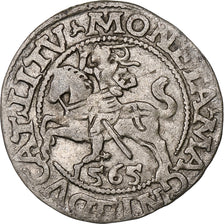 Polen, Kingdom of Poland-Lithuania, Sigismund II, 1/2 Grosz, 1565, Vilnius