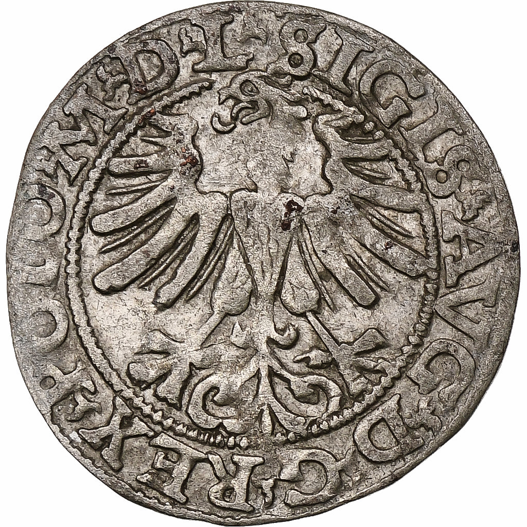 Polen, Kingdom of Poland-Lithuania, Sigismund II, 1/2 Grosz, 1565, Vilnius