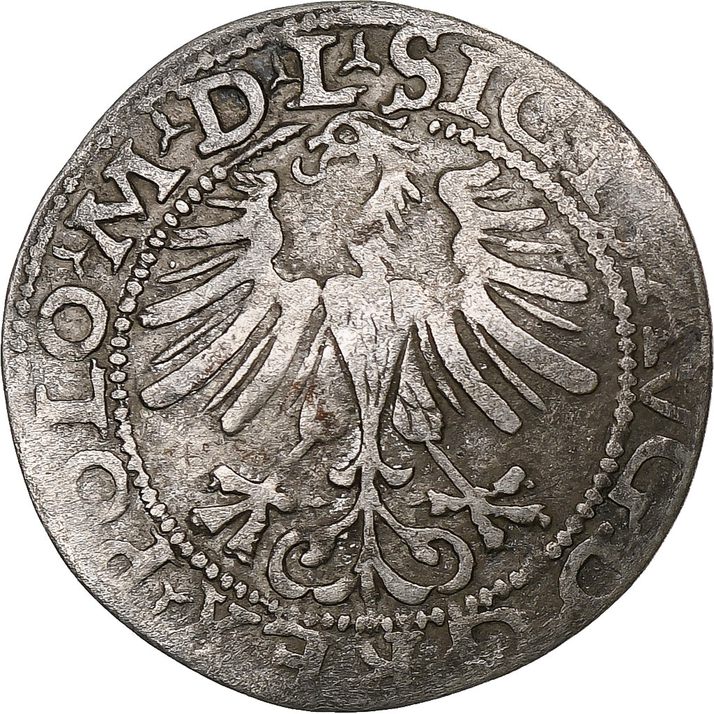 Polónia, Kingdom of Poland-Lithuania, Sigismund II, 1/2 Grosz, 1565, Vilnius