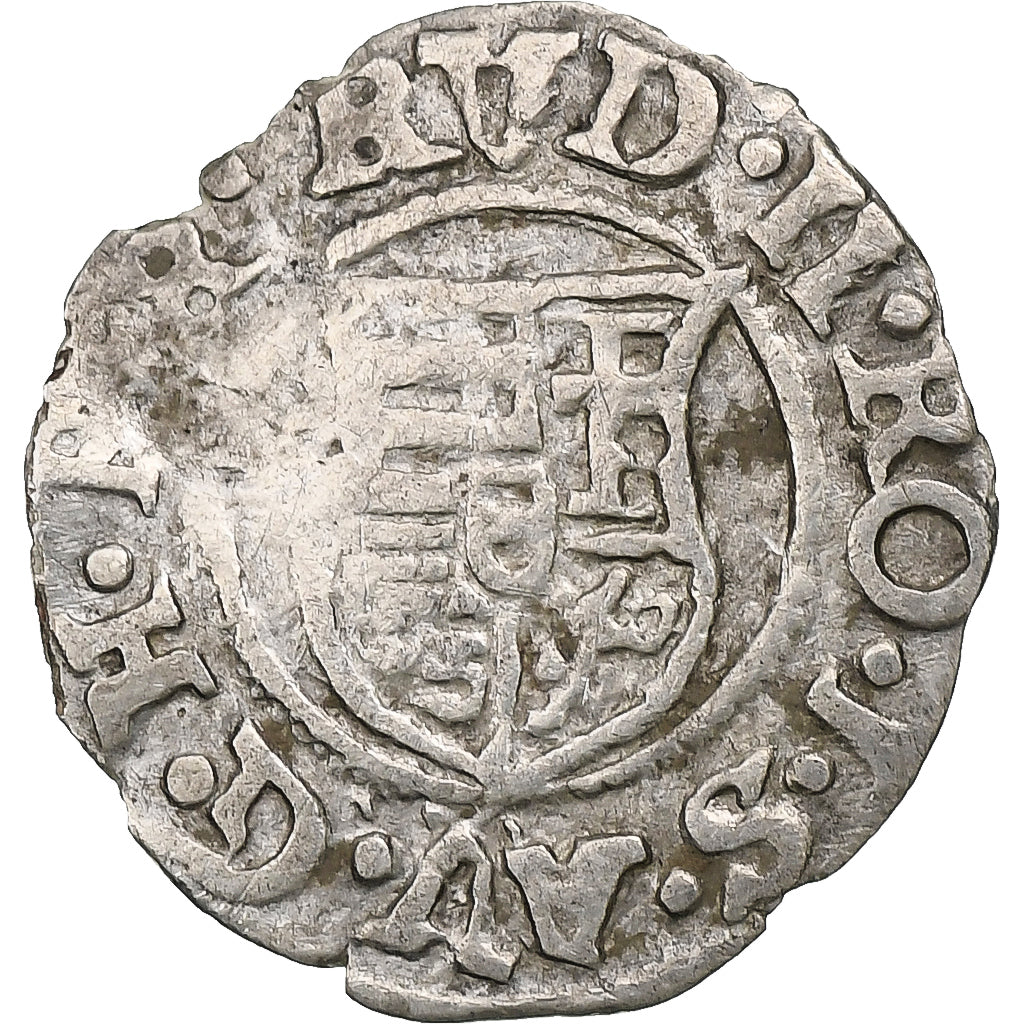 Hungary, Kingdom of Hungary, Rudolf II, Denar, 1589, Silver, VF(30-35)