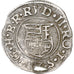 Hungary, Kingdom of Hungary, Rudolf II, Denar, 1584, Silver, EF(40-45)