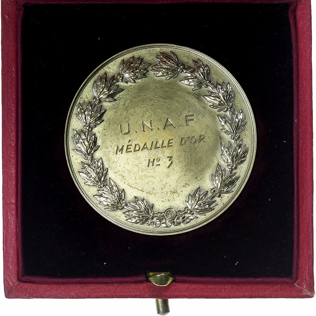 France, Medal, Hommage de l'U.N.A.F, 1965, Gold, AU(55-58)