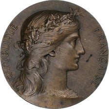France, Médaille, Hommage aux Soldats des Vosges, Monument de la Fontenelle