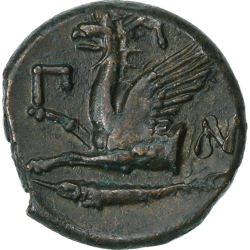 Cymeryjczycy Bosporanie, Æ, 310-304/3 BC, Pantikapaion, Brązowy, AU(50-53)
