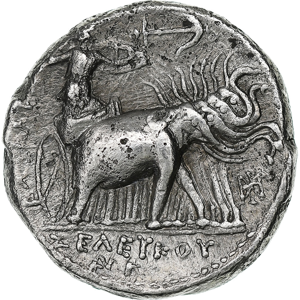 Royaume Séleucide, Seleukos I Nikator, Tétradrachme, ca. 300-295 BC, Séleucie