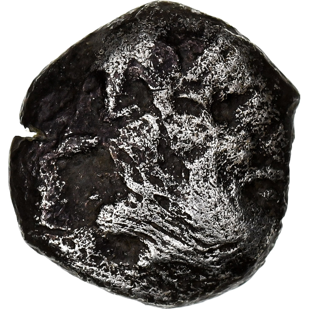 Troas, Obol, 5th Century BC, Tenedos, Zilver, ZF