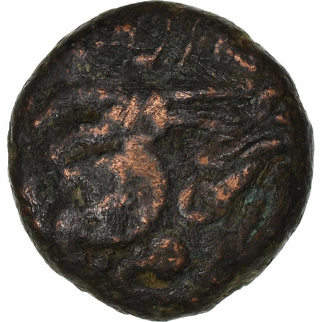 Ceylon, Chola Empire, Raja Raja Chola, Æ Unit, ca. 985-1014, Bronze, EF(40-45)