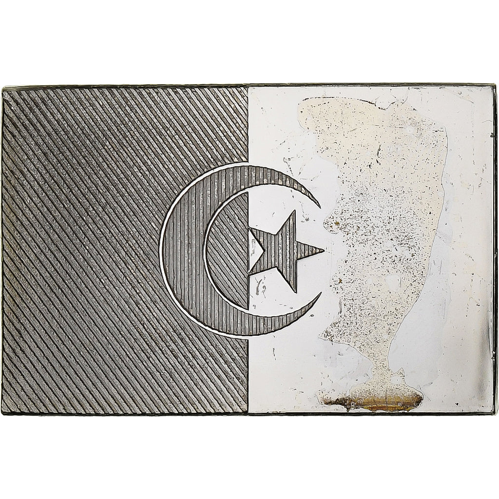 France, Medal, United Nations Flags, Algeria, Silver, AU(55-58)