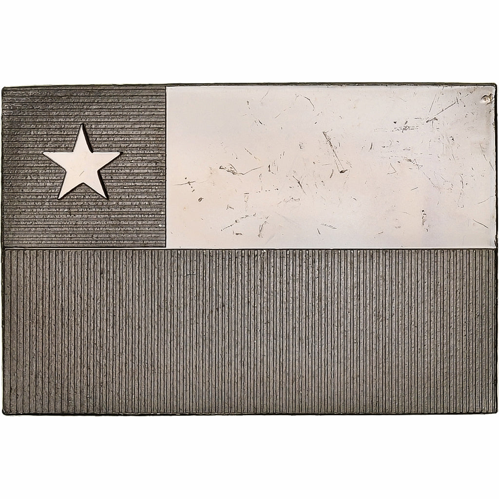 France, Medal, United Nations Flags, Chile, Silver, AU(55-58)