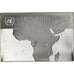 Francja, medal, United Nations Flags, Republic of the Congo, Srebro, AU(55-58)