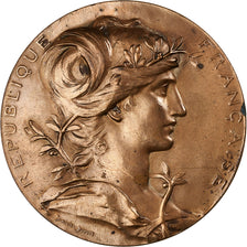 France, Medal, Exposition universelle de Paris, 1889, Bronze, AU(55-58)