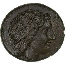 Sicily, Hiketas II, Litra, 287-278 BC, Syracuse, Bronze, AU(55-58), HGC:2-1449