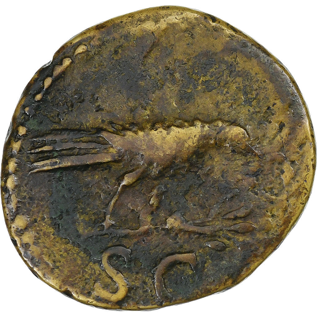 Domitian, Semis, 90-91, Rome, Bronze, EF(40-45), RIC:710