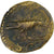 Domitian, Semis, 90-91, Rome, Bronzo, BB, RIC:710