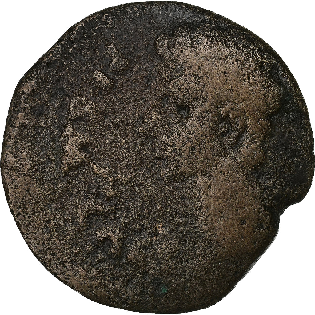 Augustus, As, 27 BC-AD 14, Colonia Patricia, Bronze, VF(20-25)