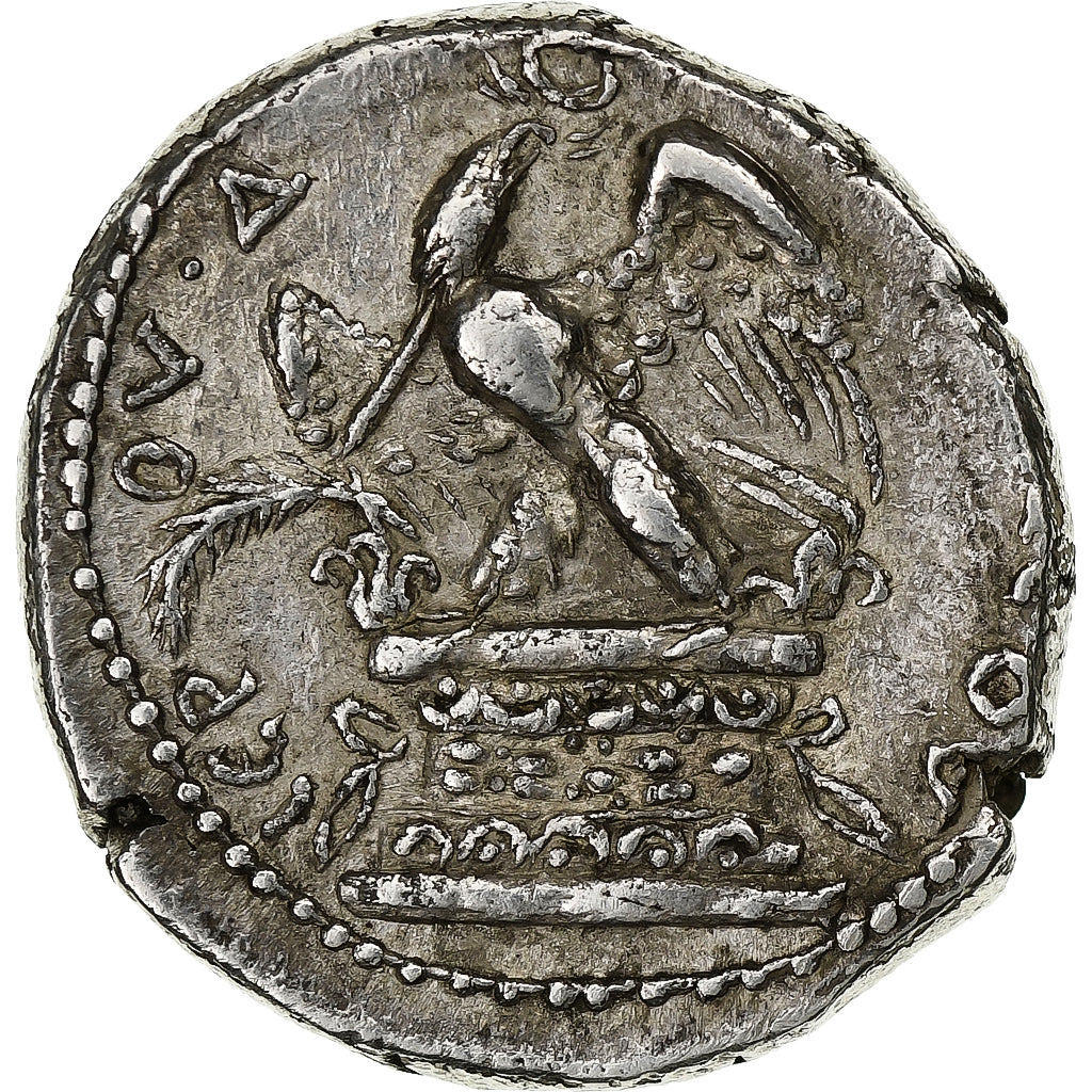 Seleucis and Pieria, Vespasian, Tetradrachm, 71-72, Antioch, Silber, SS+