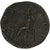 Hadrius, Dupondius, 128-129, Rome, Bronzen, PR, RIC:879