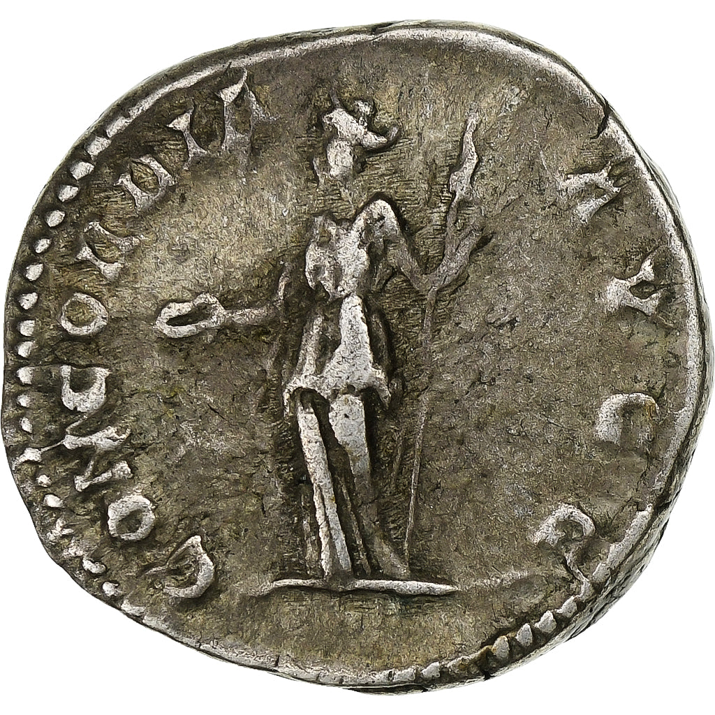 Plautille, Denier, 202-205, Rome, Argent, TTB+, RIC:363a