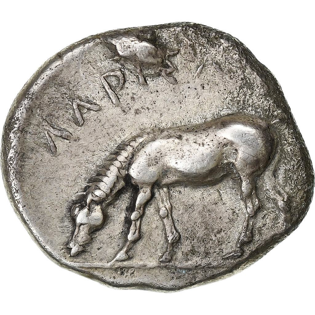 Thessaly, Drachm, ca. 404-370 BC, Larissa, Argento, BB, HGC:4-432