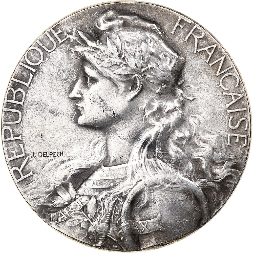 Francia, medaglia, IIIe République, n.d., Bronzo argentato, Delpech, SPL-